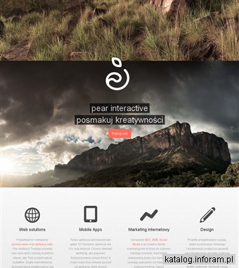 Agencja interaktywna