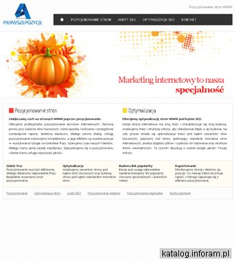 Profesjonalne pozycjonowanie stron internetowych