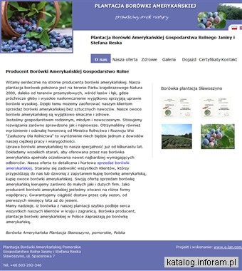 Plantacja borówki amerykańskiej