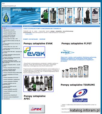 Oferta pomp zanurzeniowych