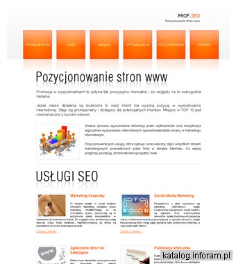 Profesjonalne pozycjonowanie