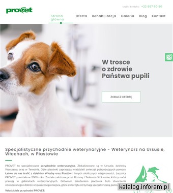 Rehabilitacja kotów Warszawa - provet.warszawa.pl