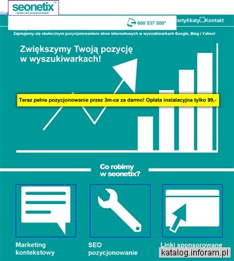 Seonetix - skuteczne pozycjonowanie stron internetowych