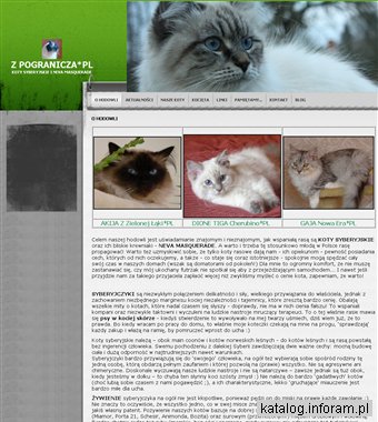 Koty syberyjskie, neva masquerade - siberian-neva.eu