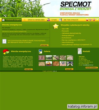 Wierzba energetyczna - plantacje i uprawa