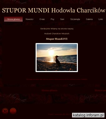 STUPOR MUNDI FCI - hodowla charcików włoskich