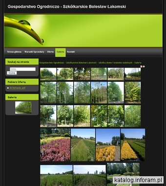 Gospodarstwo ogrodniczo-szkółkarskie Bolesław Łakomski - szkółka drzew i krzewów ozdobnych