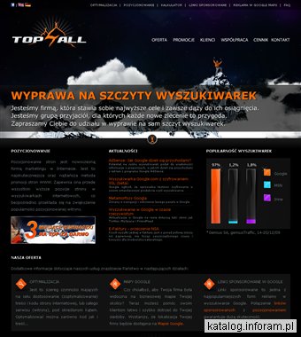 Promocja w wyszukiwarkach