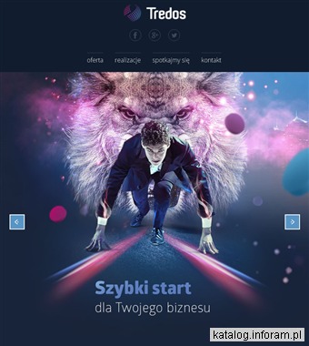 Projektowanie stron www Poznań - tredos.info