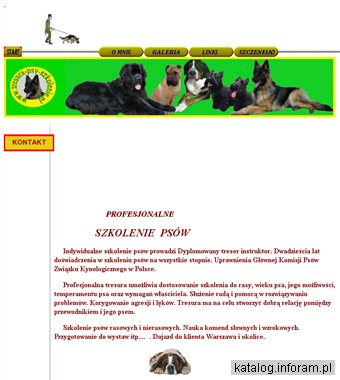 Indywidualna tresura psów