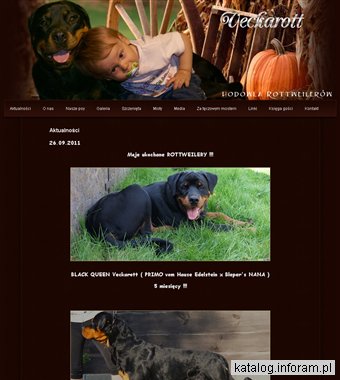 Veckarott - Hodowla rottweilerów