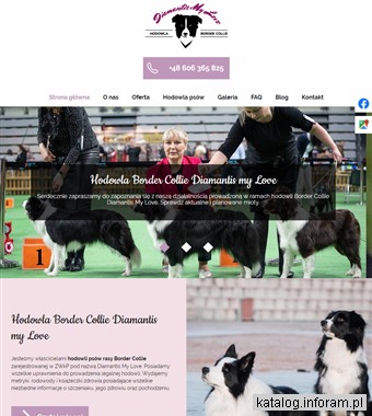 dogoterapia września wagnerdogs.com