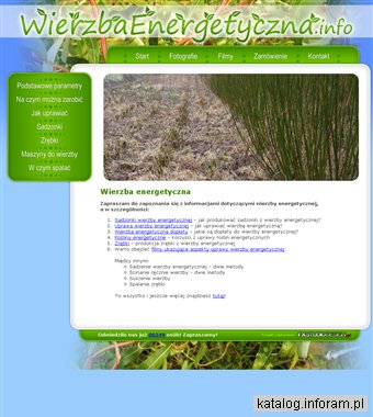 Wierzba energetyczna Salix viminalis