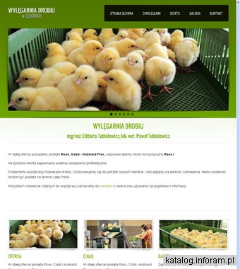 Wylęgarnia drobiu w Lęborku