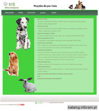 Sklep zoologiczny Częstochowa - Ryś