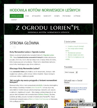 Hodowla Kotów Norweskich Leśnych