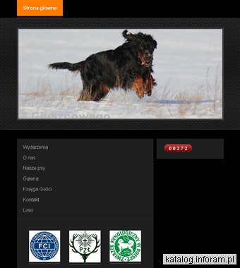 Z Głuszcowego Lasu - Hodowla Psów - Seter Szkocki Gordon