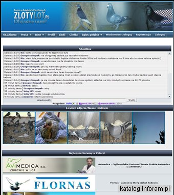Gołębie Pocztowe - Forum o gołębiach
