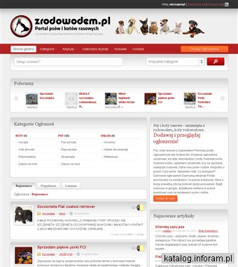 Szczenięta rasowe sprzedam - ogłoszenia